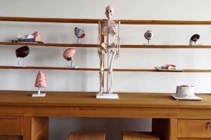 shust-laboratories-5